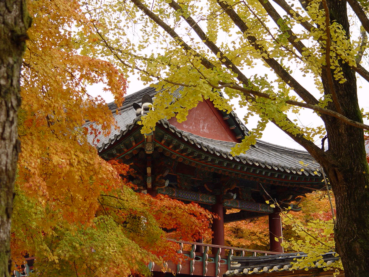 내장사(전북 정읍) 이미지