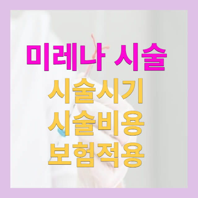 미레나시술