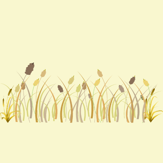 강진만-춤추는갈대