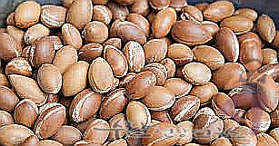 식용 아르간 오일 효능