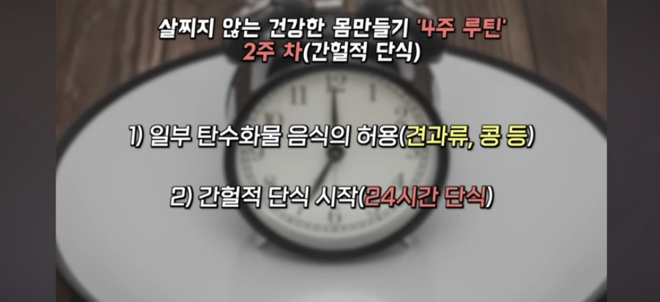 스위치온 다이어트 원리와 효과 방법 식단표 부작용 4주 프로그램 운동법 박용우 다이어트 효과 다이어트 팁