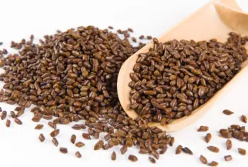 결명자차 효능과 영양성분&amp;#44; 주의점