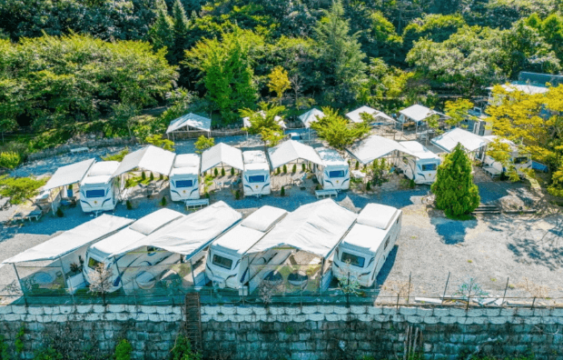 꽃구경 가볼만한 곳