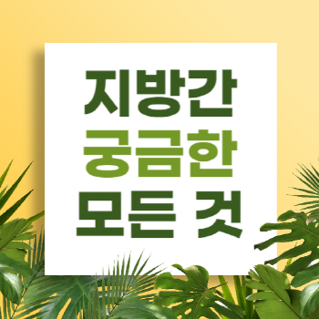 지방간 종류, 원인, 증상, 검사, 치료 방법, 예방법