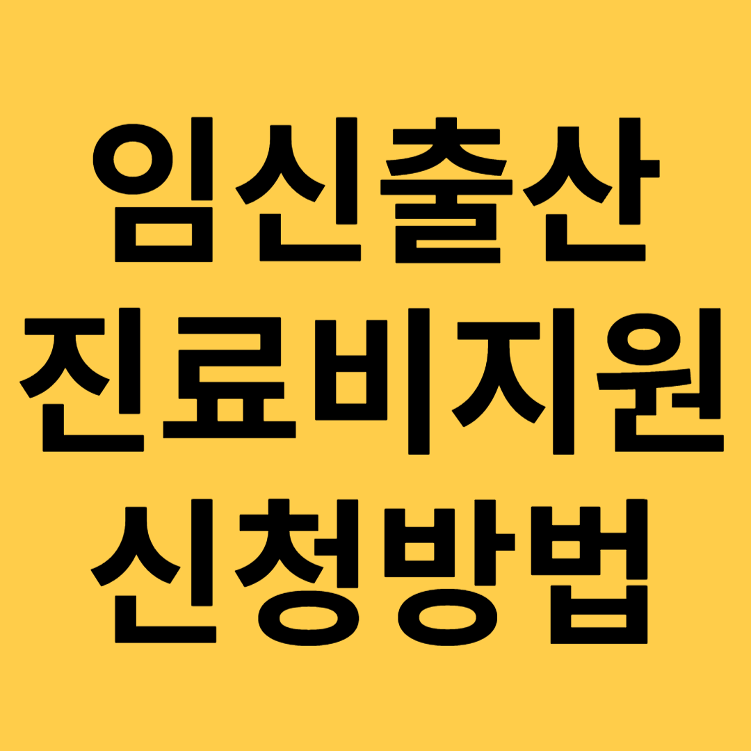 임신출산진료비지원