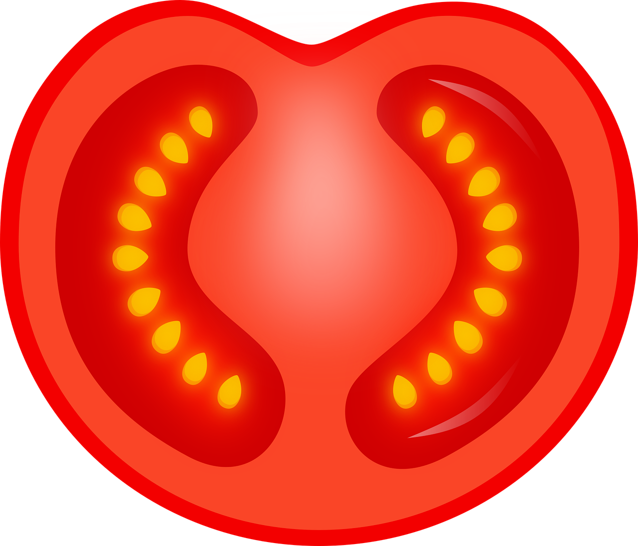 토마토관련사진