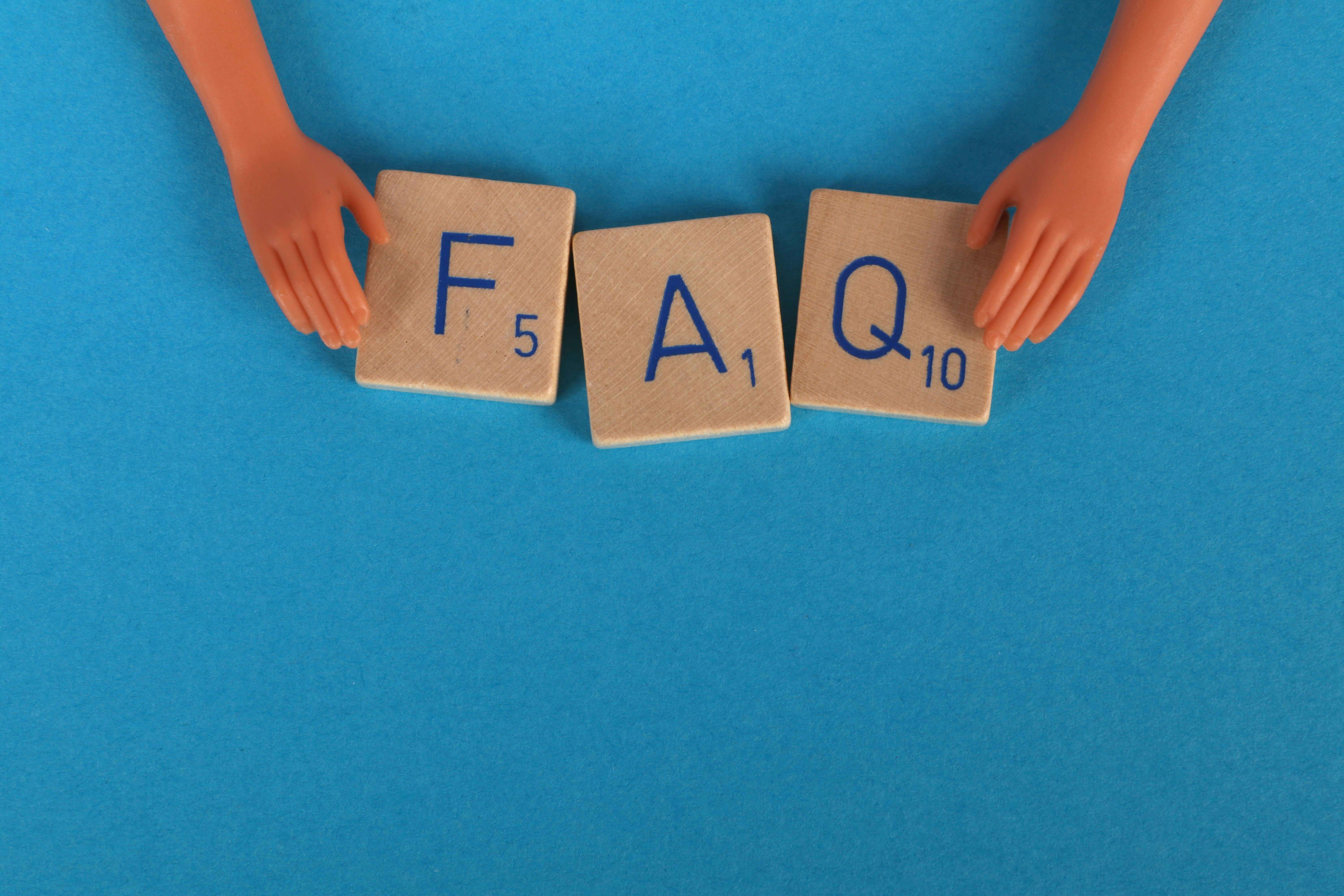 보호자가 가장 많이 묻는 펫보험 보험금 청구 FAQ 10가지 총정리