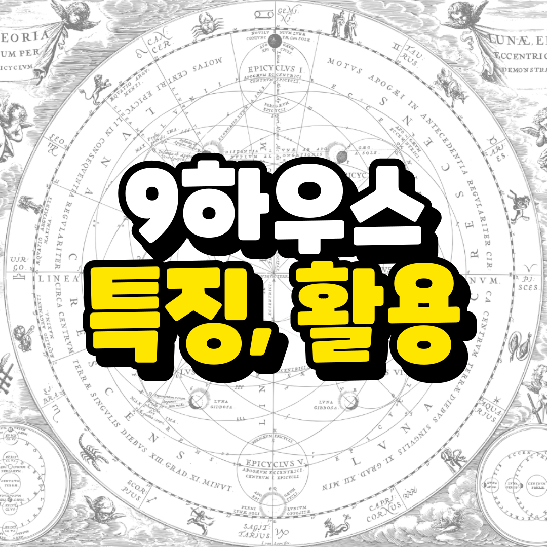 9번 하우스와 관련된 사진