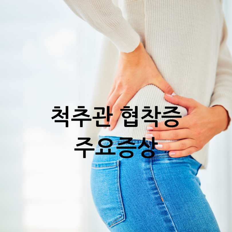 허리디스크와 허리 협착증의 차이점