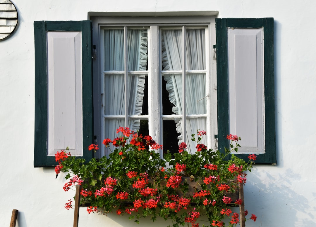 Curtain
