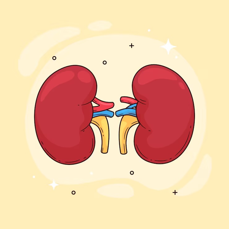 신장이 안 좋으면 나타나는 증상