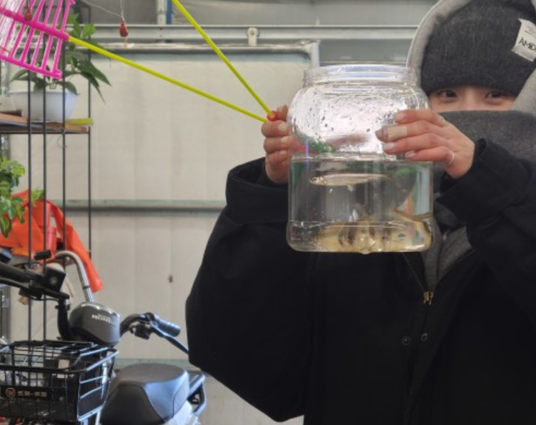 양평 산수유마을 빙어축제