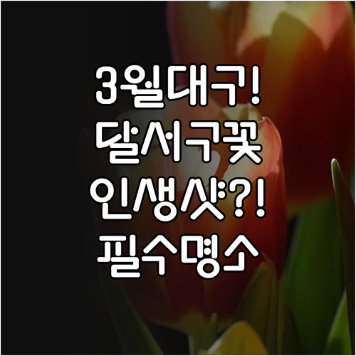 3월 대구 여행지 추천 달서구 꽃구경..