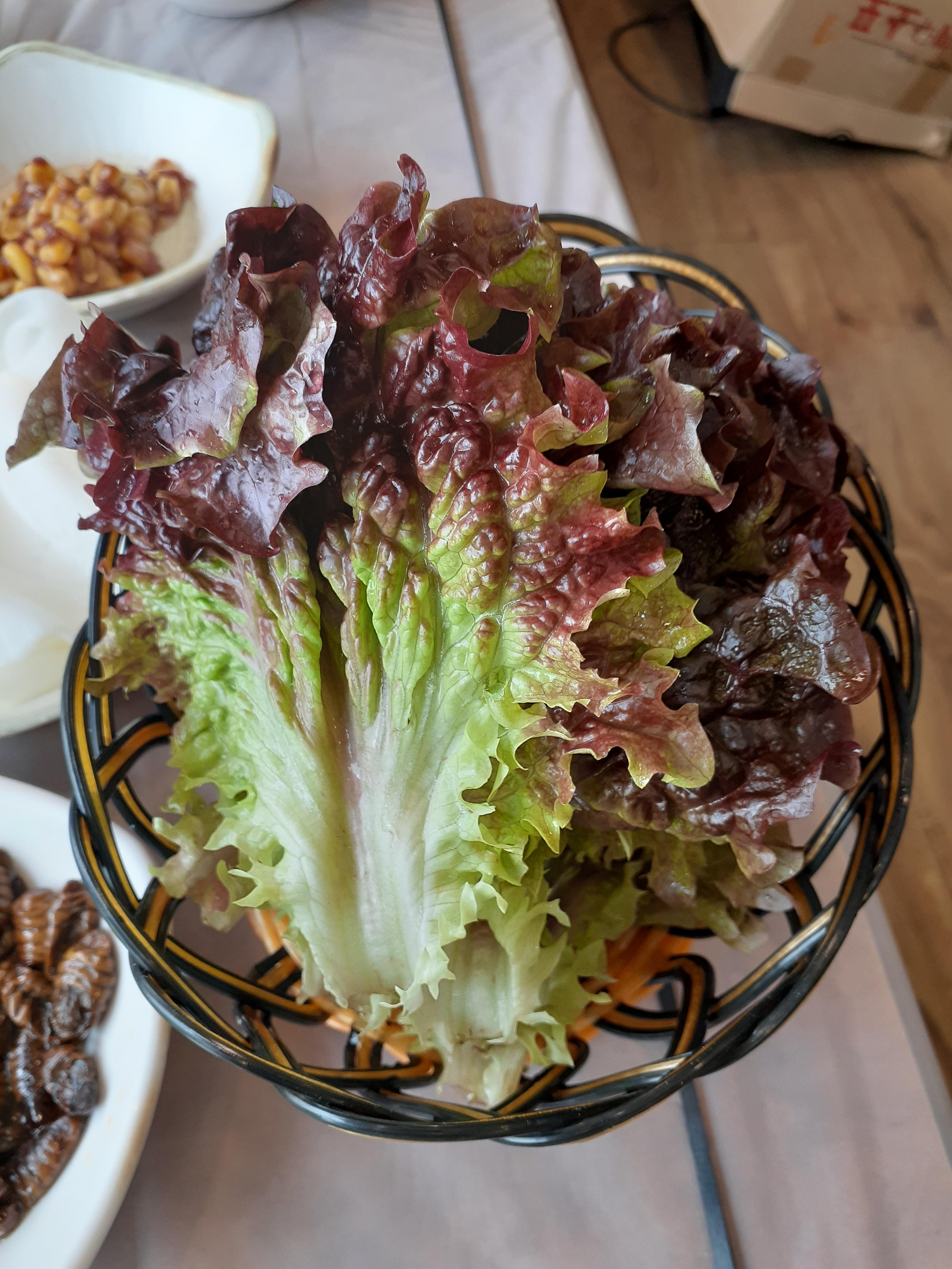 춘천메밀촌닭갈비