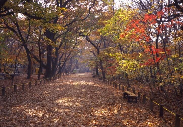 산림청 선정 명품 단풍길 (연인산, 방태산, 상림숲)