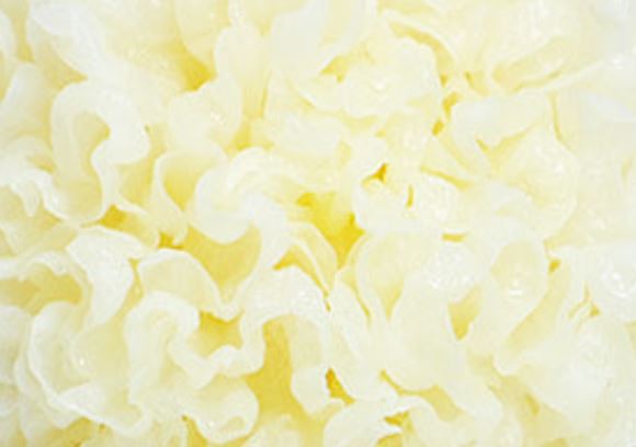 흰목이버섯 효소분해추출물의 특징&amp;#44;효능&amp;#44; 제품추천