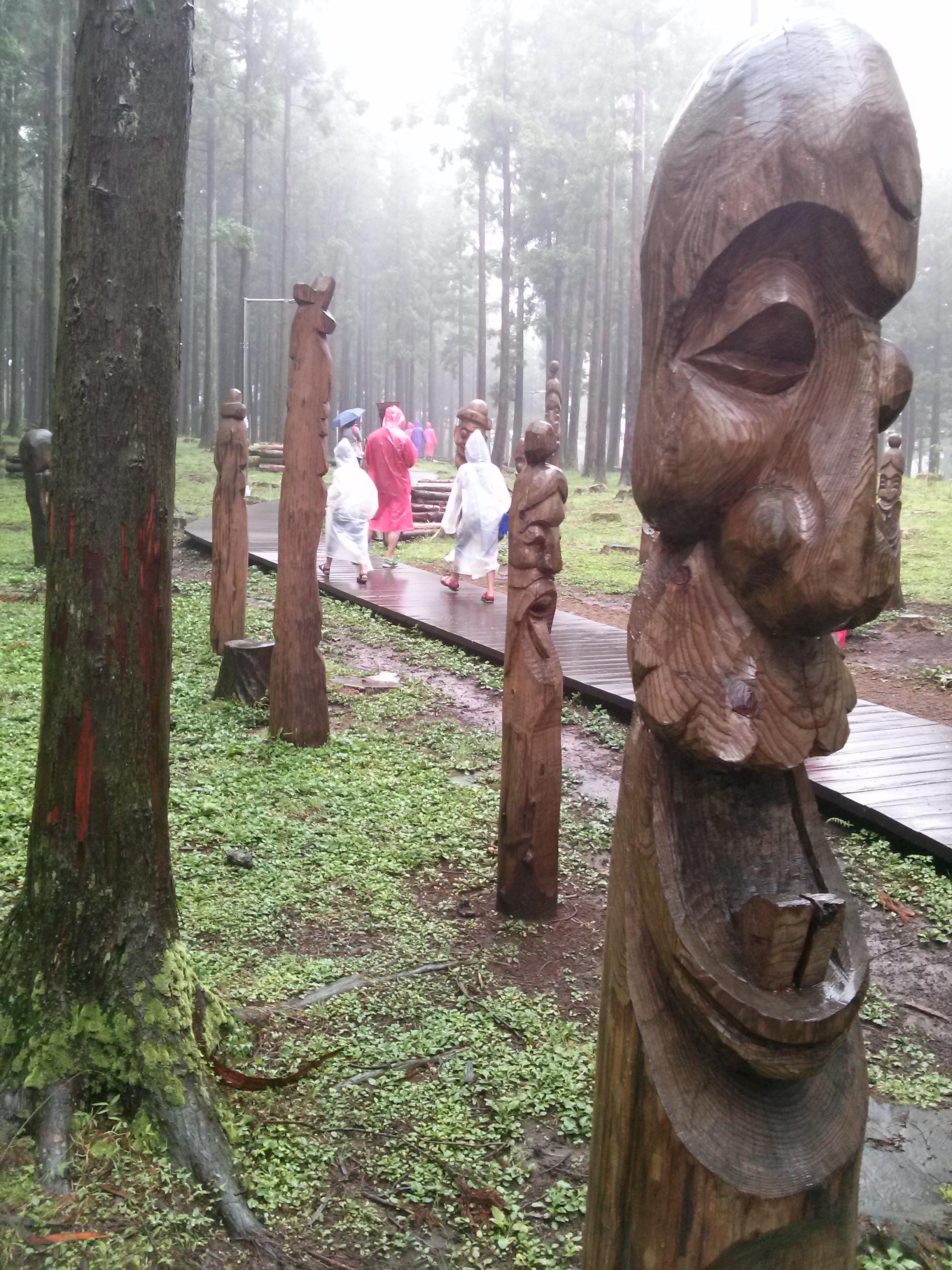 절물자연휴양림(Jeju Jeolmul Recreational Forest)