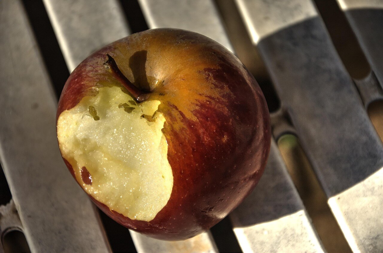 저탄고지 다이어트 완벽 정리