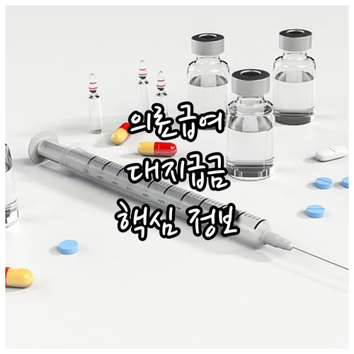 2025년 의료급여 대지급금: 저소득..