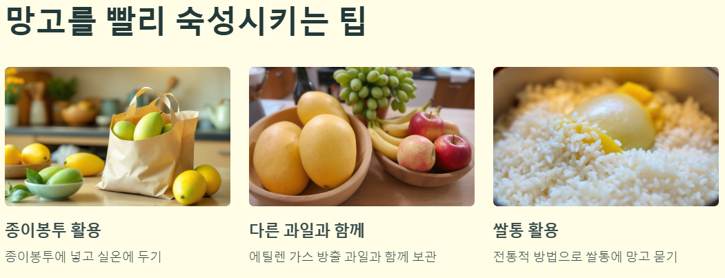 망고를 빨리 숙성시키는 팁