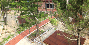 강원도 오토캠핑장