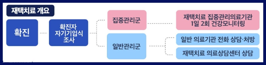 코로나19-재택치료-개요