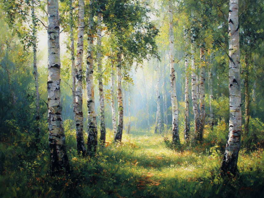 용인 자작나무숲