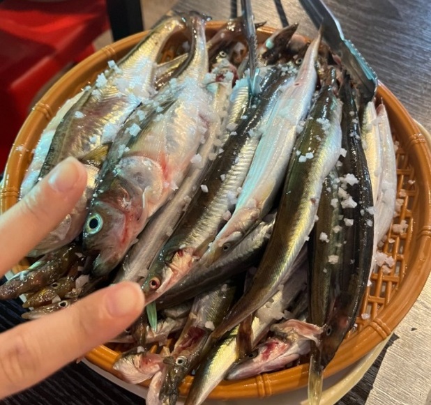 속초항-양미리-금성호