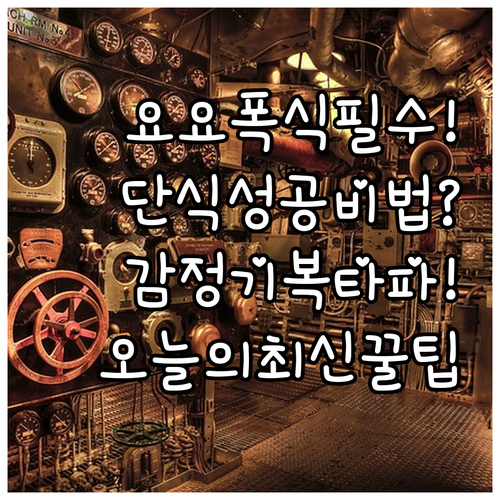 간헐적 단식 폭식과 요요 막는 법: ..