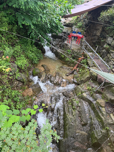 장흥계곡식당 김삿갓 입구 들어가는 길에서 찍은 계곡 사진