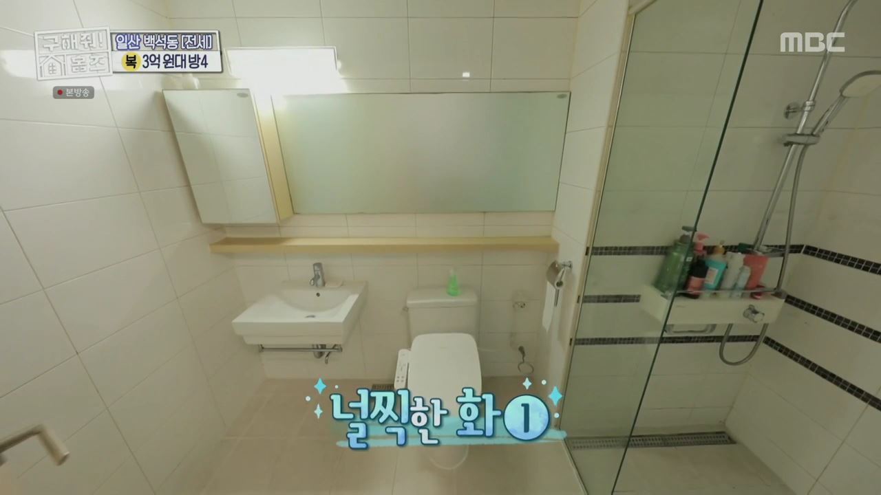 구해줘홈즈 고양시 일산동구 백석동 프러포즈 하우스 매물 가격 및 구조 인테리어 리모델링 최종선택 소개