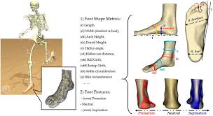 발 건강과 신체 균형