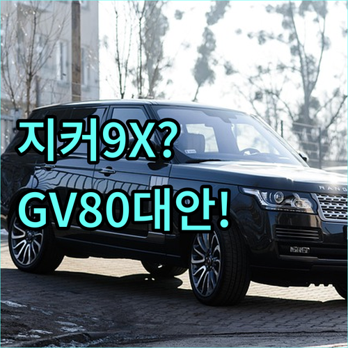 지커 9X 제네시스 GV80 대안 프..