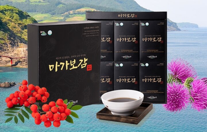 마가보감