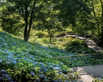 화담숲 예약_7