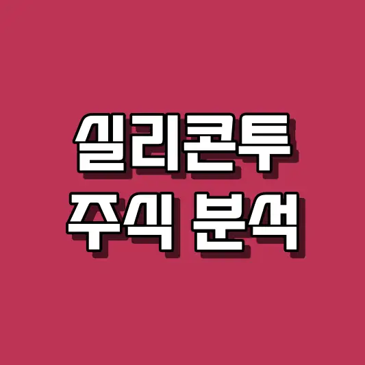 실리콘투 주식 분석