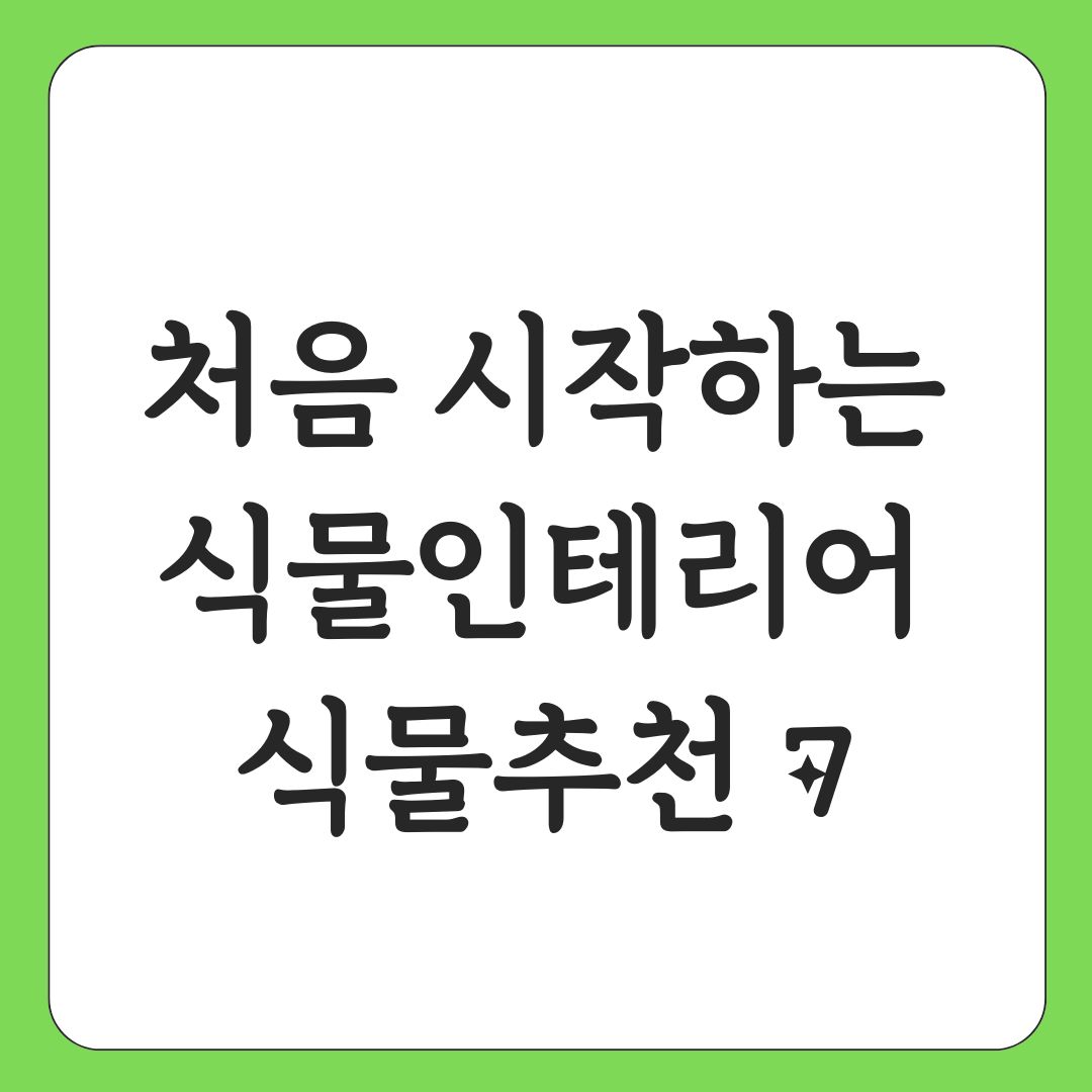 처음 시작하는 식물인테리어 식물추천 7