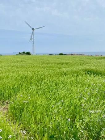 제주 가파도 가는 운진항 배 시간표 요금 예약 예매_26