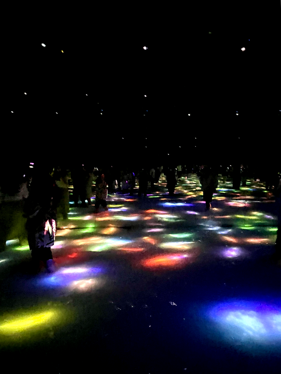 일본 도쿄 팀랩 플래닛 여행-사람과 함께 춤추는 잉어가 그리는 수면 위의 드로잉