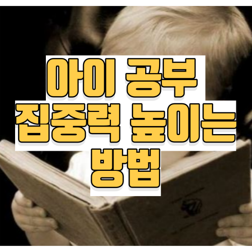 공부 집중력 높이는 방법