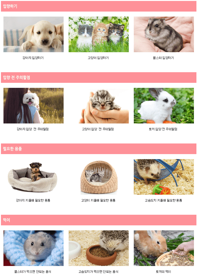 초보집사 가이드