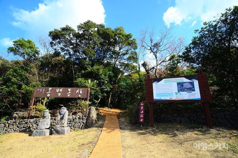 동백동산