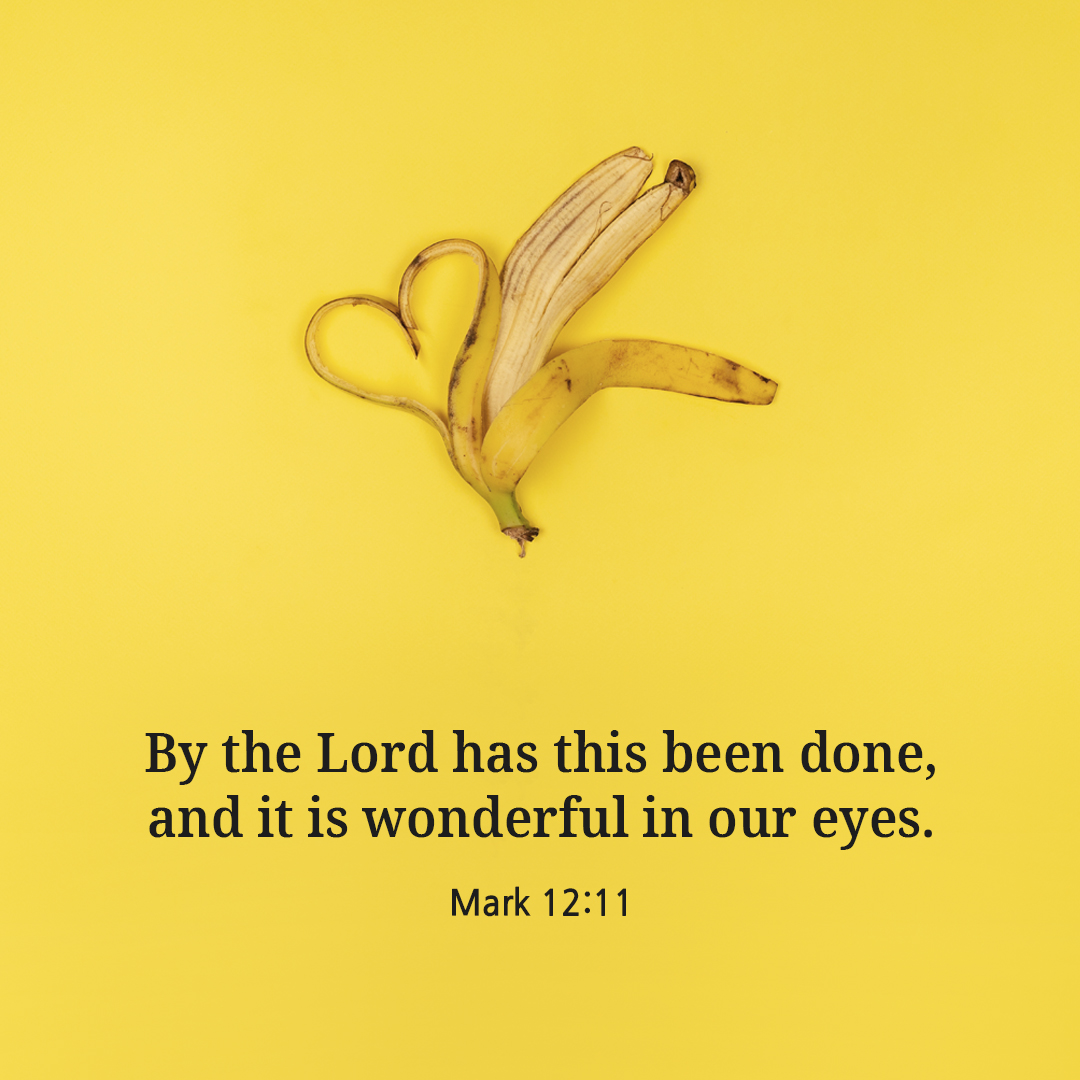 By the Lord has this been done, and it is wonderful in our eyes. (Mark 12:11)