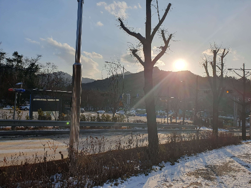 서울대 입구 공항리무진 버스정류장