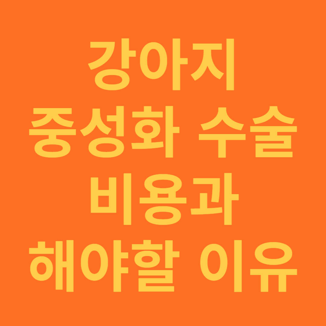 강아지 중성화 수술 비용과 해야하는 이유