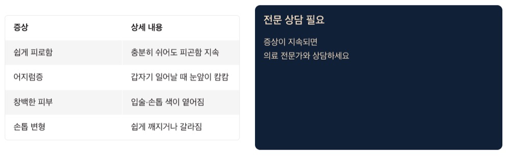 철분 부족 증상 자가진단