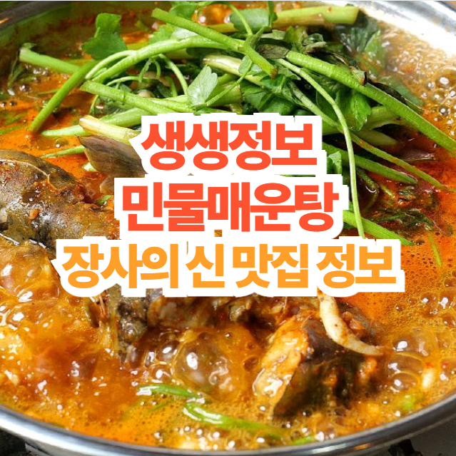 생생-정보-장사-의-신