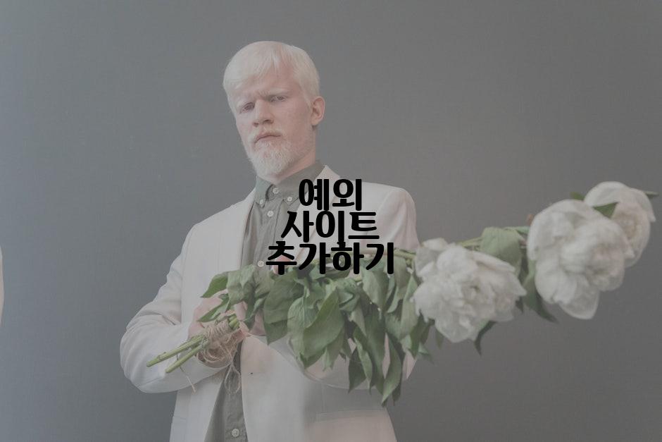 예외 사이트 추가하기