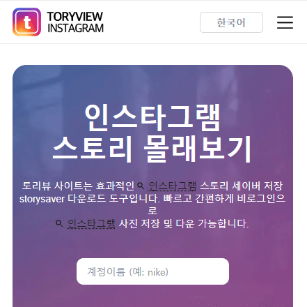 Instastoryview.co.kr, 토리뷰, 인스타 몰래 보기, 인스타 염탐사이트
