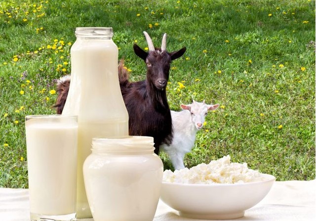 산양유 단백질 추천 1-헬스히어로